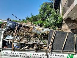 Best Carpet Removal and Disposal  in Waconia, MN